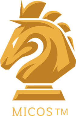 Software IP Protection MasterInChess.com