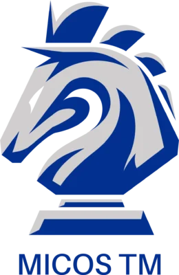 Official Knight Logo MasterInChess.com